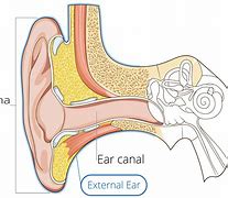 ear trumpet